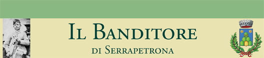 banditore1-2010-1